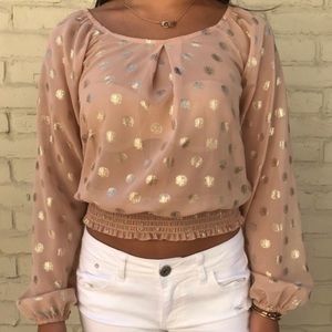 Sheer Blush & Gold Cropped Long Sleeve Blouse